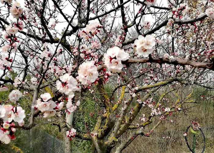 아파트 Attico Panoramico Tra E Mare Con Giardino Deluxe