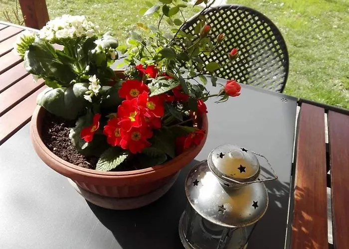 Attico Panoramico Tra E Mare Con Giardino Deluxe 페자로