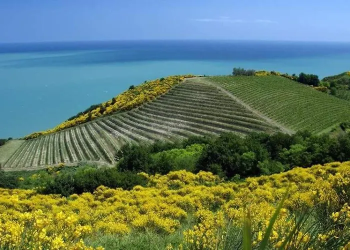 아파트 Attico Panoramico Tra E Mare Con Giardino Deluxe