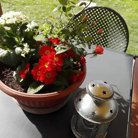 Attico Panoramico Tra E Mare Con Giardino Deluxe Pesaro